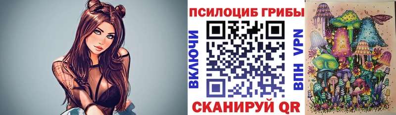 Галлюциногенные грибы Psilocybine cubensis  что такое   Михайловка 